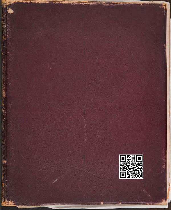 伊撒博拉中国日记之一的封面
